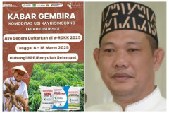 Wakil Bupati Tubaba Nadirsyah Ajak Petani Ubi Kayu Manfaatkan Subsidi Pupuk