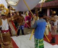 Sabung Manuk, Tradisi Sambung Ayam Antara Gurau dan Juaro