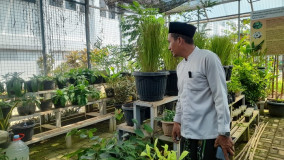 Menuju Sekolah Adiwiyata Nasional, SMP Sabilurrasyad Kembangkan Green House