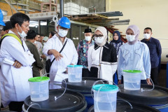 Gubernur Cukupi Kebutuhan Pupuk 190.851 Petani Lampung