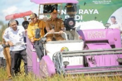 Gubernur Mirza Ikuti Panen Raya Padi Serentak di 14 Provinsi secara Nasional oleh Presiden Prabowo