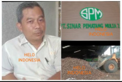 16 PerusahaanTutup, PT SPM II Tetap Beli Singkong Sesuai SE Gubernur Mirza