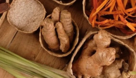 Pemanfaatan Rempah Hasil Bumi Nusantara Bisa Menjadi Sumber Pendapatan Negara