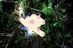 Bocah Kakak Adik Tewas Berpelukan Penuh Luka di Kebun Pesisir Utara