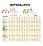 Metro, Kota Dengan Daya Saing Paling Maju di Lampung