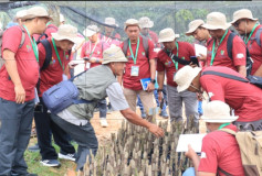 Pelatihan Askep PTPN I: Tingkatkan SDM Hadapi Tantangan
