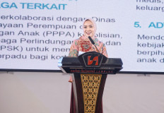 Perempuan Hebat, Keluarga Kuat : TP. PKK Provinsi Lampung Dorong Pencegahan Kekerasan Pada Perempuan dan Anak