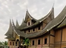 Tradisi Batangeh, ini 7 Jenis Tanaman Obat yang Tumbuh di Sekeliling Rumah Gadang