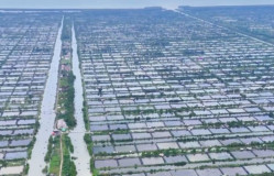 Dibahas 8 Raperda Tulang Bawang, CeDPPIS Usul Inisiasi Raperda Tata Kelola Udang