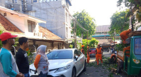 Bersihkan Sarang Jentik Nyamuk, Lurah Benhil Gelar Bersih-bersih Selokan Got Bersama Warga dan ASN, Kasatpel LH Aripin: Sampahnya Ada 12 M3 Terangkut