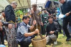 Tumbuhkan Ekonomi Kreatif, Mangga Istana Pemalang Rambah Pasar Mancanegara