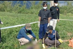 Senjata Makan Tuan, Kawat Listrik Penghalau Babi Malah Tewaskan Pemasangnya