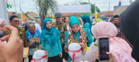 Potensi Lokal Menggeliat, Ketua TP-PKK Lampung: Tubaba Luar Biasa