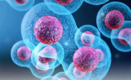 Stemcell jadi Salah Satu Unsur Kandungan dalam Wellness Infusion 