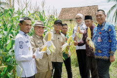 Wujudkan Kedaulatan Pupuk, Gubernur Mirza Tinjau Produksi Poc Dan Fasilitas Pascapanen Di Tanggamus