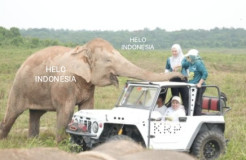Dibangun Tanggul TNWK, Bupati dan Warga Terima Kasih pada Prabowo dan Mirza