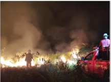 Sehari Setelah Kunjungan Gubernur Mirza, TNWK Kebakaran di 6 Titik