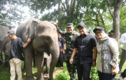 DPRD Lampung Kawal Kebijakan Prabowo Jadikan TNWK Percontohan Nasional