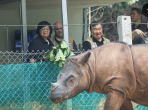 Rumah dan Kantor Siti Nurbaya Bakar Digeledah Kejagung