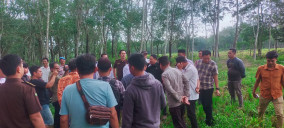 Tracking LSD Bandar Dewa, Terungkap Warga Sewa Pengacara Rp5 Juta per Hektare