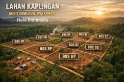 Menguak 11 Orang yang Sertifikasi Register di Waykanan, Kasus Sidik