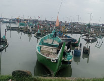 Laut Tenang, Nelayan Pantai Timur Labuhanmaringgai Lampung Timur Musim Cumi