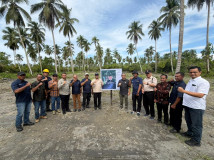 PTPN I Segera Replanting 3.100 Hektare Tanaman Kelapa Di Pulau Seram