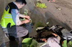 Pengendara Fortuner Menabrak hingga Tewas 2 Pengendara Motor di PIK.