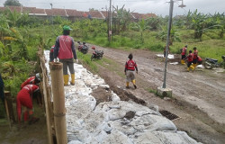 Hujan Ekstrem Kepung Tembalang, Pemkot Semarang Gercep Perkuat Tanggul Kali Babon