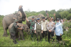 TNWK Jadi Proyek Percontohan Pengelolaan Mandiri Taman Nasional