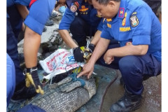 Buaya Muara Terjaring Nelayan di Bumiwaras, Bandarlampung