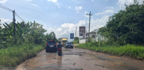 Warga Minta Gubernur Lampung Serius Tanggapi Keluhan Jalan Rusak di Pesawaran