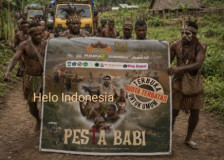 PESTA BABI