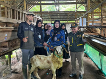   Lampung Kerahkan 1.229 Petugas Awasi Hewan Kurban Iduladha 2026