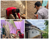 Polsek Pulau Panggung Identifikasi Rumah Tertimpa Pohon Kelapa