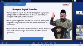 Pemprov Lampung Terima Sapi Kurban Bantuan Presiden untuk Iduladha 2026