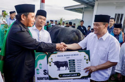 Hapus Duka Korban Tanah Gerak, Gubernur Luthfi Boyong Sapi 906 Kg dan Rayakan Iduladha di Huntara Tegal