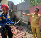 Petugas Damkarmat Bandarlampung Evakuasi Ular Sanca 1,5 Meter di Atap Dinas Pariwisata
