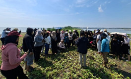 Lestarikan Pesisir Semarang, Mahasiswa Pariwisata USM Tanam 300 Mangrove