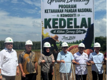PTPN IV PalmCo Matangkan Pilot Project Kedelai, Dukung Swasembada Pangan Nasional