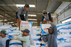 Meledak 253%! Efek Danantara Bikin Laba Pupuk Indonesia Tembus Rp 8,51 Triliun