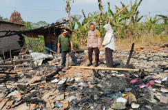 Polsek Pugung Identifikasi Kebakaran Rumah Warga di Pekon Way Manak