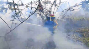 Kebakaran Lahan Kosong di Kemiling Berhasil Dipadamkan, Warga Diminta Waspada Saat Kemarau