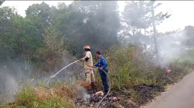 Tiga Kebakaran Lahan Terjadi di Bandarlampung, Diduga Dipicu Pembakaran Sampah