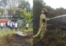 Kebakaran Lahan Alang-Alang Seluas 600 Meter Persegi Terjadi di Way Halim