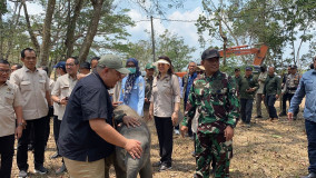  DPR Soroti Karhutla Way Kambas Jangan Tunggu Api Membesar, Habitat Gajah Harus Dipulihkan