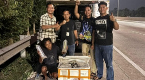 Menggunakan pikap