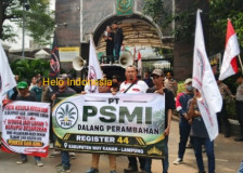 PSMI