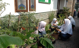Mencintai lingkungan