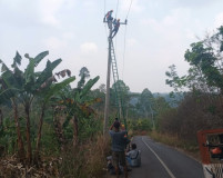 Kayu Tumbang di Sinar Jawa, Kru PLN dan Perusahaan WiFi Diapresiasi Kakon